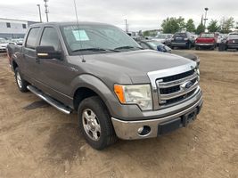 2013 FORD F150 