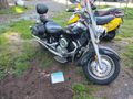 2003 YAMAHA XVS11 V-STAR CUSTOM