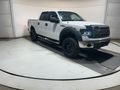 2013 FORD F150