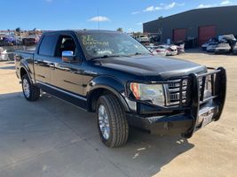 2010 FORD F150 FX4