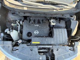 2010 NISSAN MURANO SL