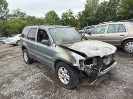 2007 FORD ESCAPE XLT