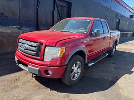 2010 FORD F150 FX4