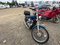 2005 HARLEY-DAVIDSON XL883C SPORTSTER 883 CUSTOM