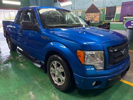 2010 FORD F150 