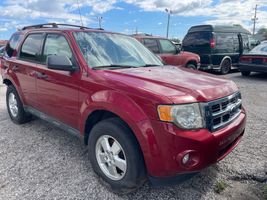 2011 FORD ESCAPE XLT