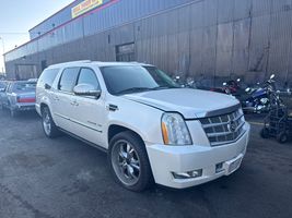 2010 CADILLAC ESCALADE ESV PLATINUM EDITION