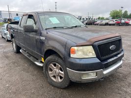 2004 FORD F150 