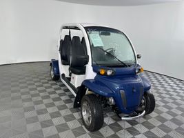 2014 GEM CART 