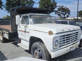 1979 FORD F-650 