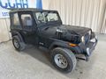 1995 JEEP WRANGLER