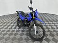 2022 RPS HAWK 250CC