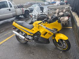 2004  NINJA EX-250 F