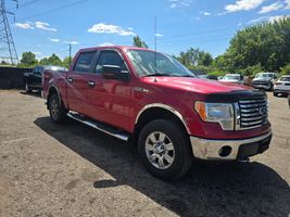 2010 FORD F150 XLT