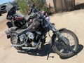 1985 HARLEY-DAVIDSON FXWG