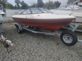 1979 RUNABOUT MOSQUITO 
