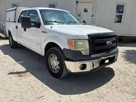 2013 FORD F150 XL