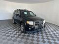 2010 FORD ESCAPE