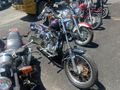1977 HARLEY-DAVIDSON SPORTSTER