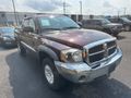 2005 DODGE DAKOTA