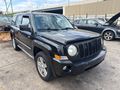 2010 JEEP PATRIOT