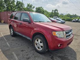 2010 FORD ESCAPE XLT