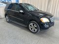 2010 MERCEDES-BENZ M CLASS