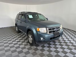 2010 FORD ESCAPE XLT
