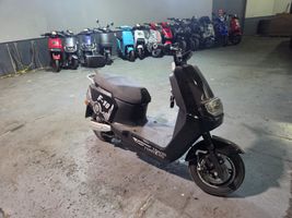 2023 FLY E-BIKE F-10  