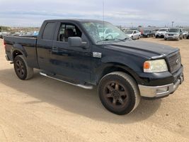 2005 FORD F150 