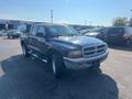 2004 DODGE DAKOTA