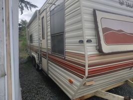 1984 TERRY TAURUS 