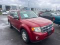 2011 FORD ESCAPE